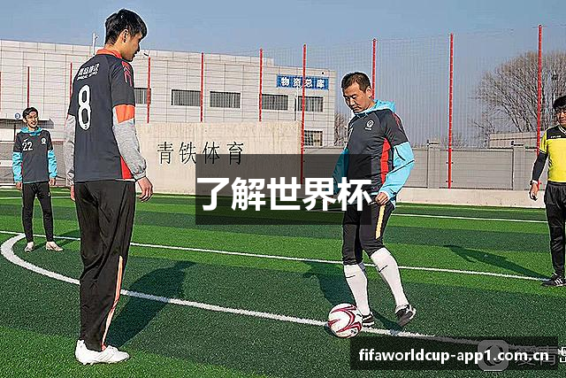 了解世界杯